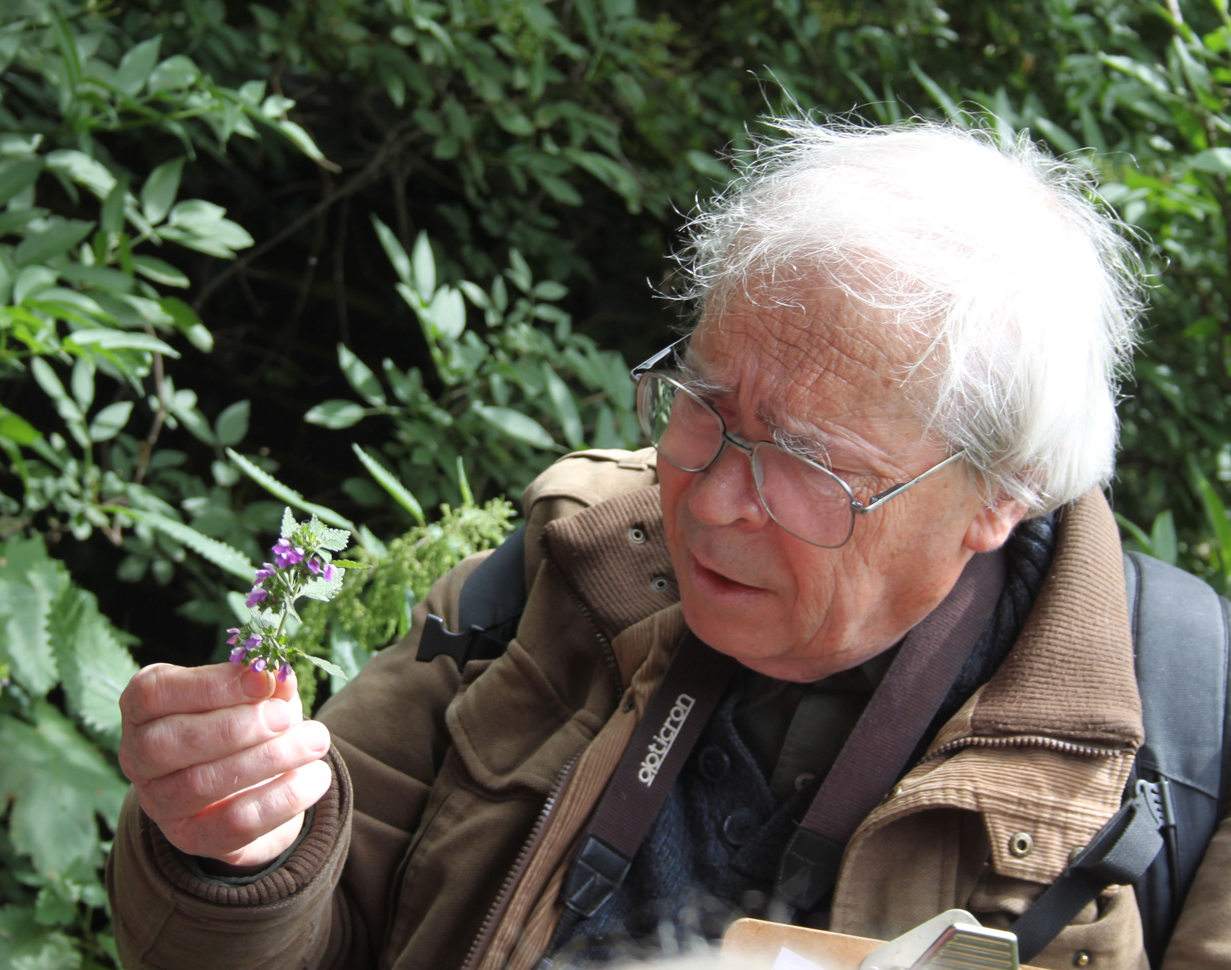 1n 2015, botanist and former conservation officer, David Bevan, carried out a flora survey over the length of the Parkland Walk that remains the most up-to-date record currently available.