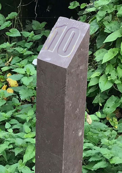 Look out for the brown numbered marker posts along the side of the path.