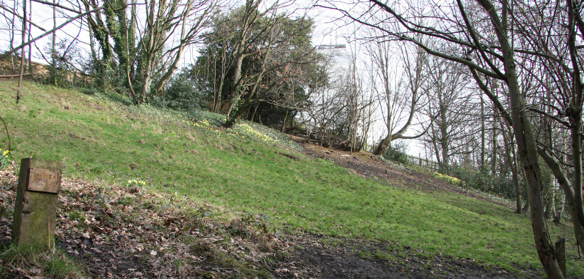 Preventing nutritional development is key to maintaining the unique habitats that are dependant on acidic soil conditions and this is a priority for the team from the Islington Ecology Centre and their volunteers.