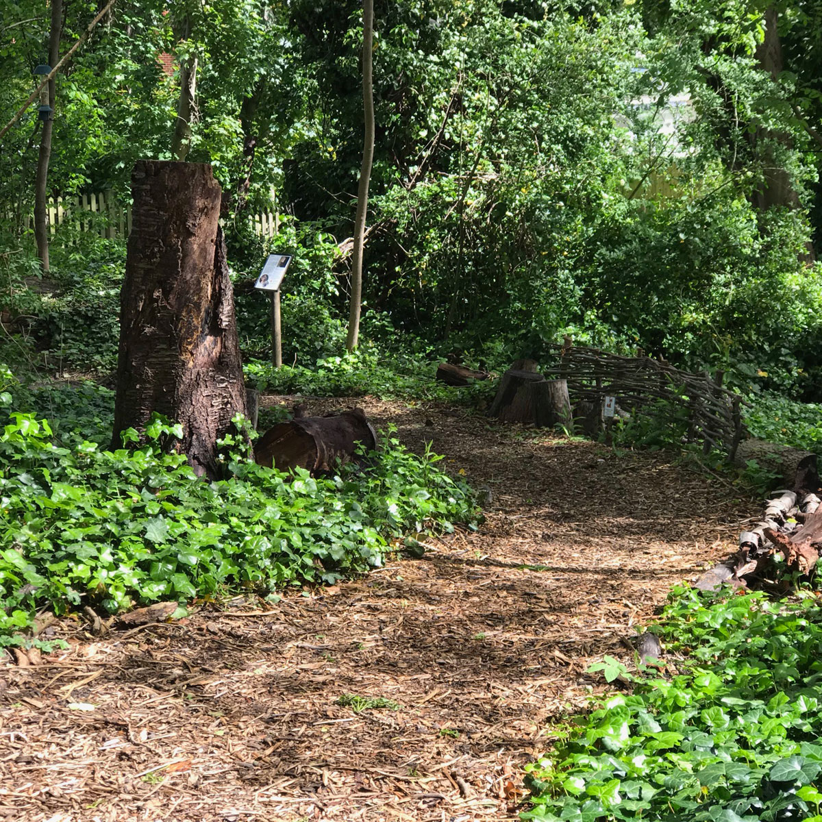 A conservation project maintained by our volunteers showcasing the benefits of good management.