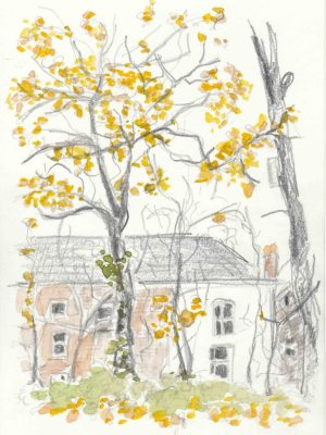 autumn-sketch