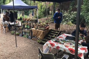 Bird and bug house stall