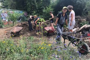 Barrowing wood chip