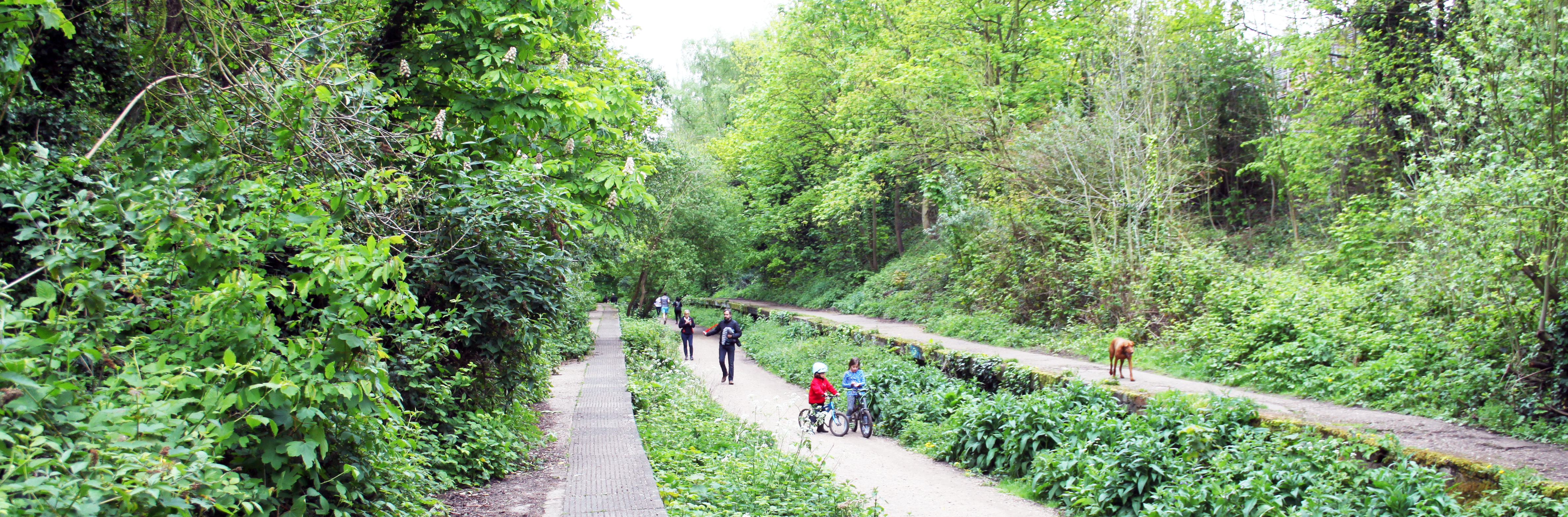 Old railway platforms Crouch End HIll