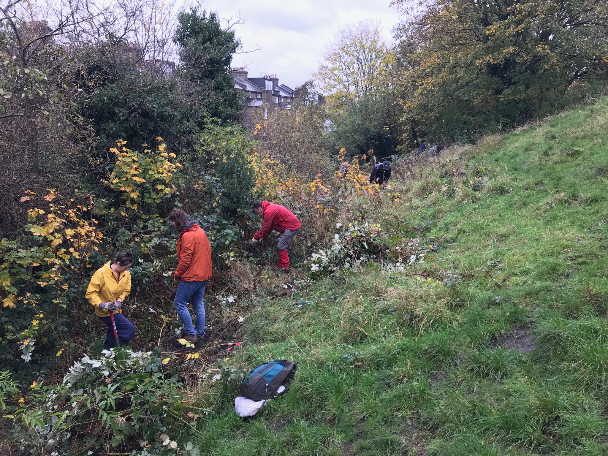 Stroud Green Meadows